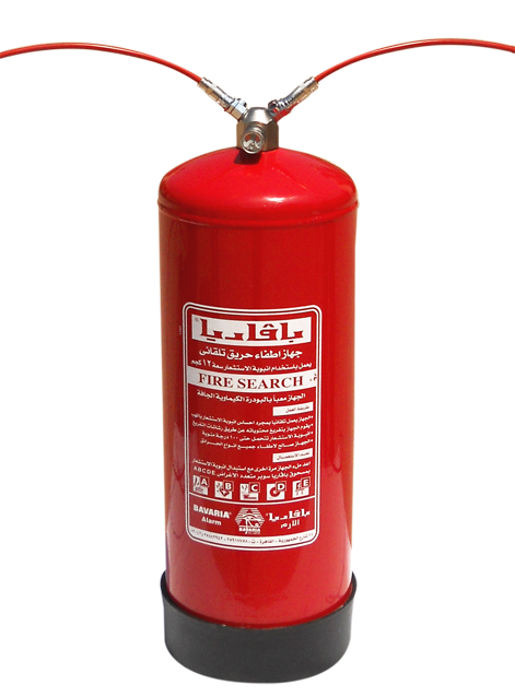 Bavaria Fire Search